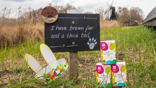 Easter eggs, bunny ears beside boardwalk and a and sign post for 'Easter Trail at Wicken Fen' with greenery and windpump in the distance